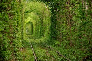 Life is vast